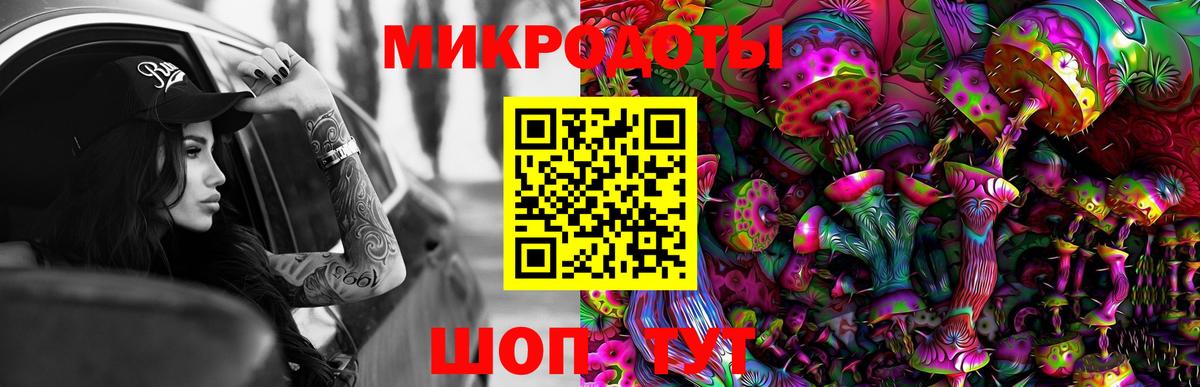 Сургут  Псилоцибиновые грибы Cubensis  Вход с VPN 